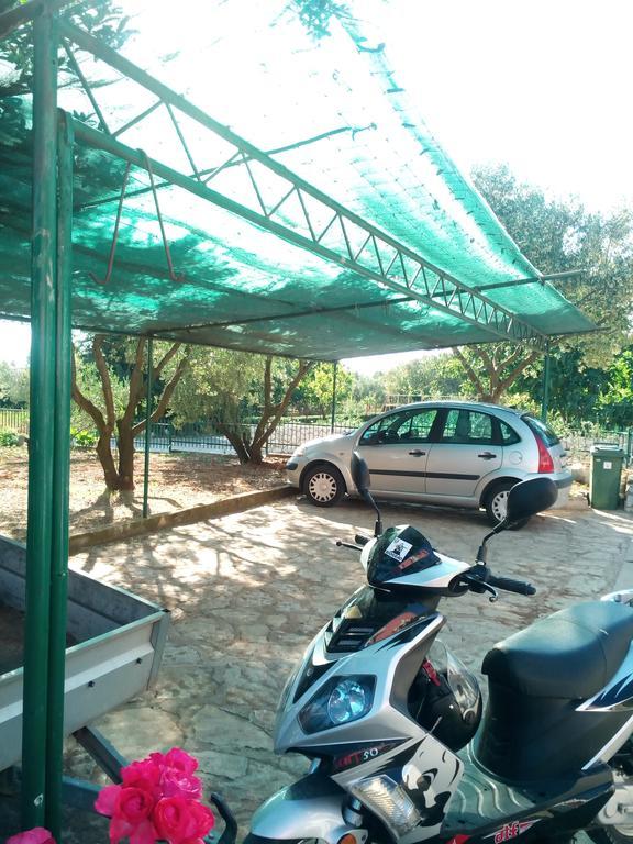 Apartmani Kapitanovic Biograd Na Moru Exterior foto