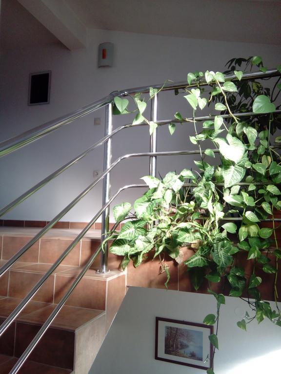 Apartmani Kapitanovic Biograd Na Moru Exterior foto